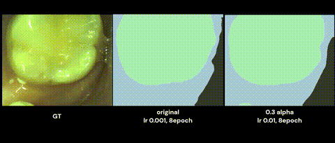 Vision Research in Dental CAD/CAM&nbsp;Field